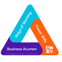 PMI Talent Triangle